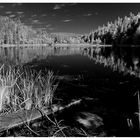 Frillensee_IR