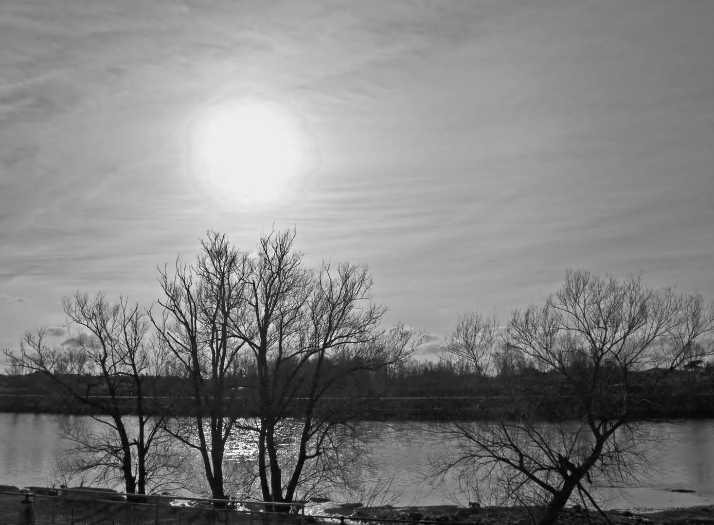 Frimagenais sur la Garonne