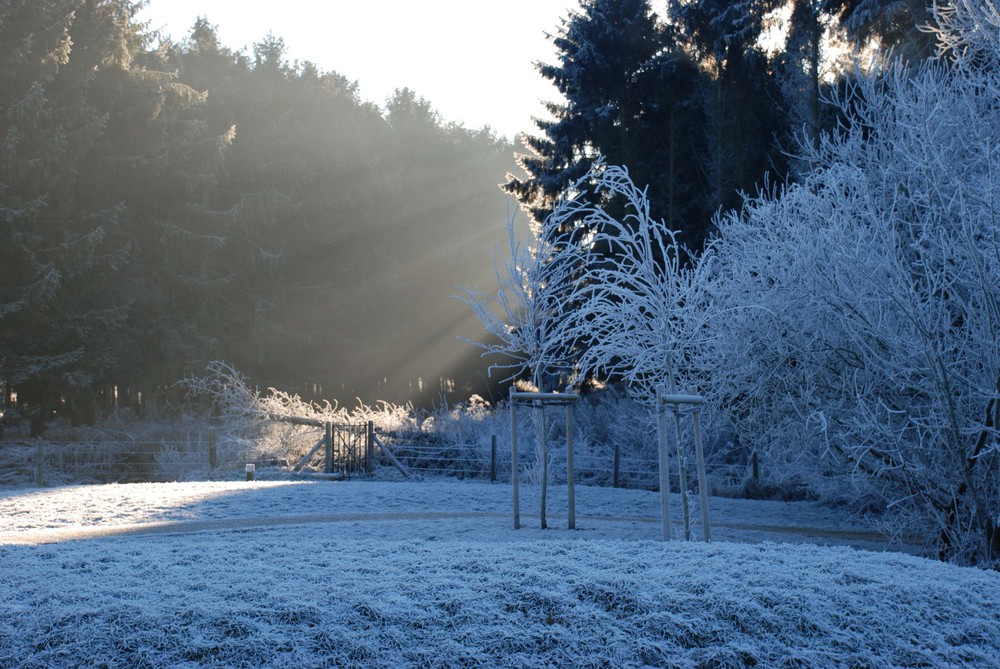 Frimas hivernaux