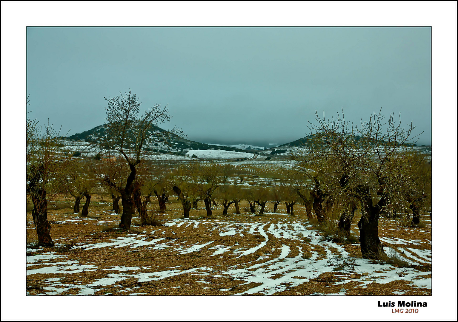 Frio en la Campiña