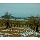 Frio en la Campiña