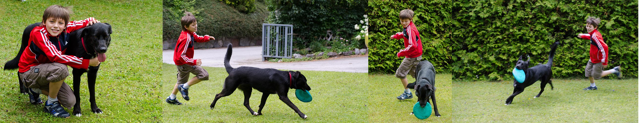 Frisbee