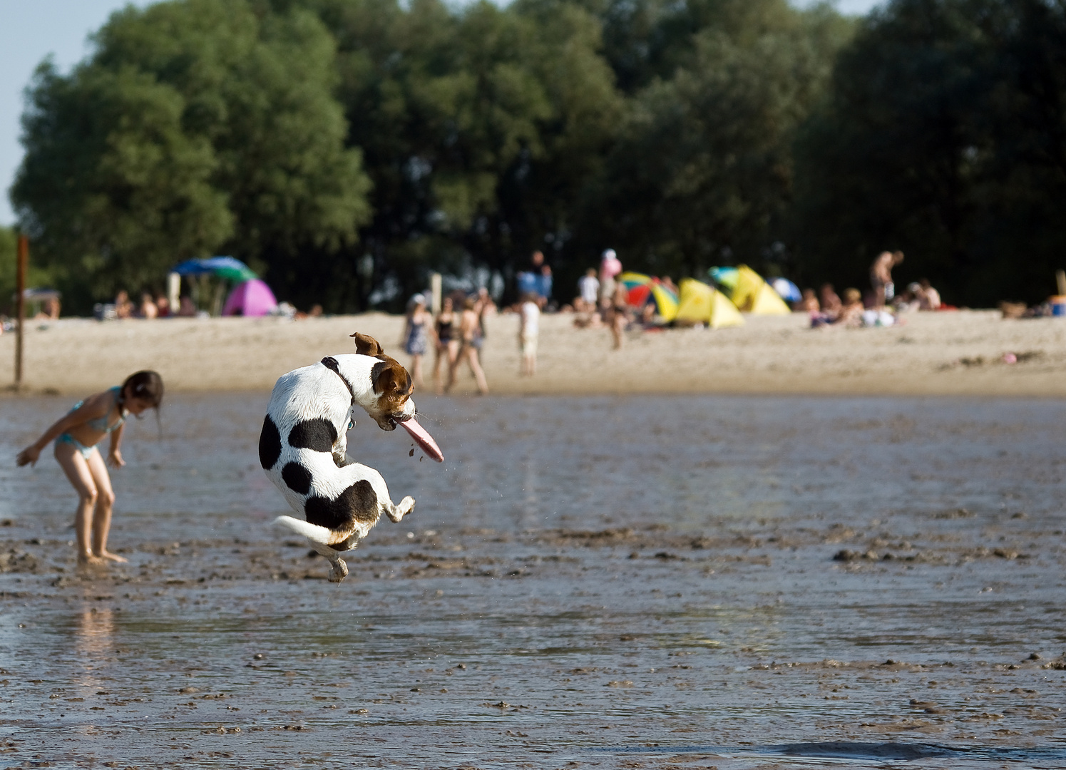 Frisbee :)