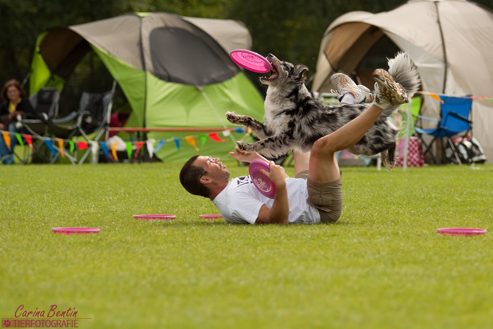 Frisbee