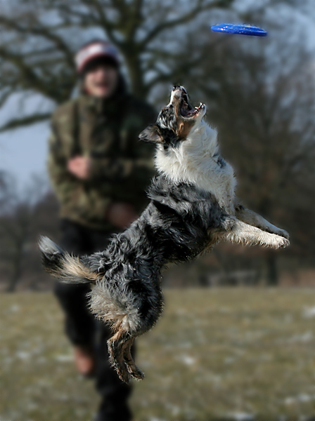 Frisbee