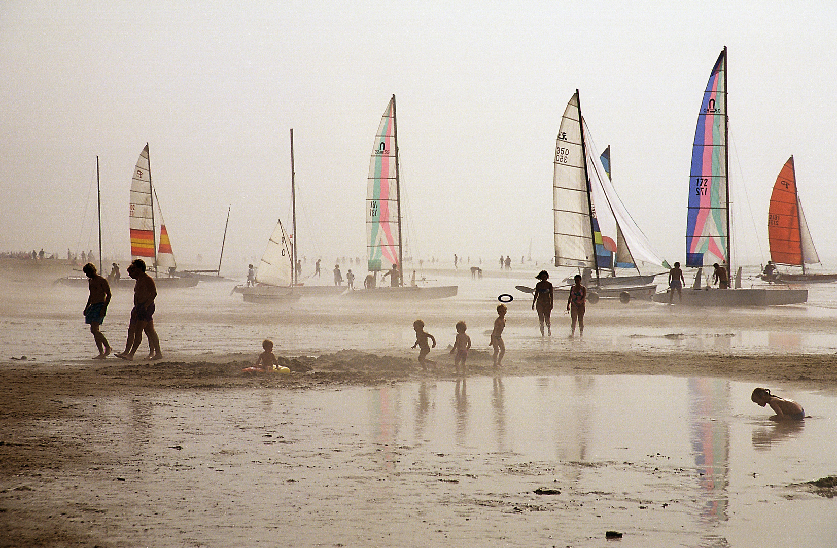 frisbee and fog