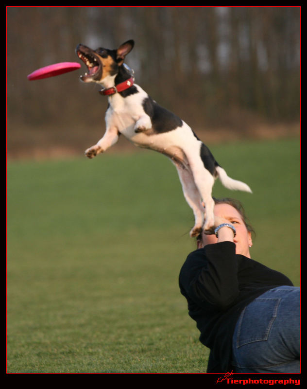 Frisbee Angie1