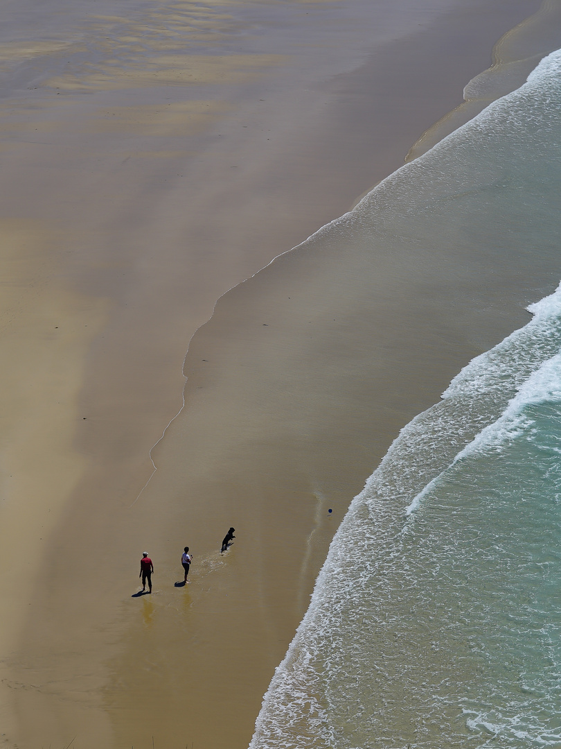 Frisbee     (Crozon)