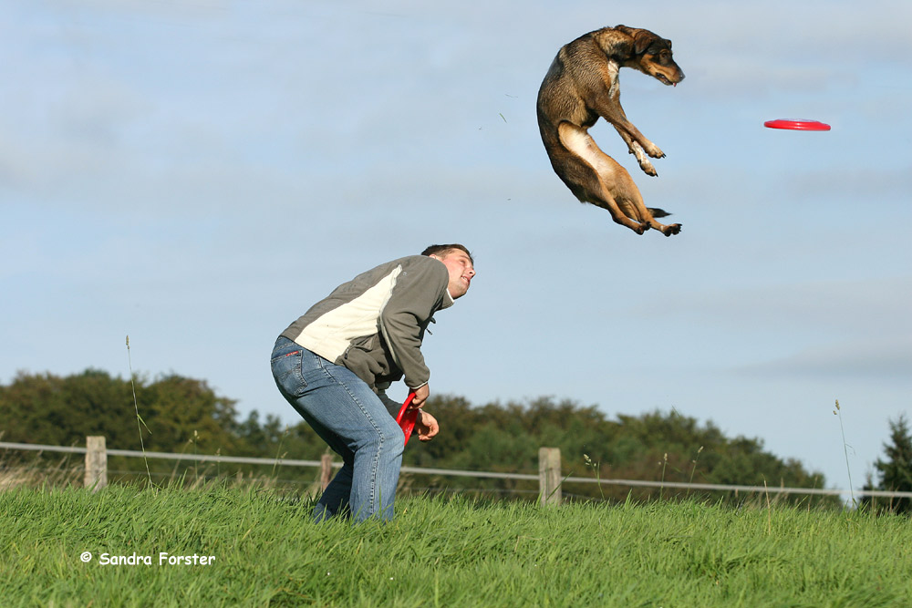 Frisbee