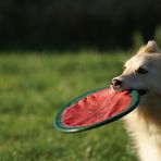 Frisbee II