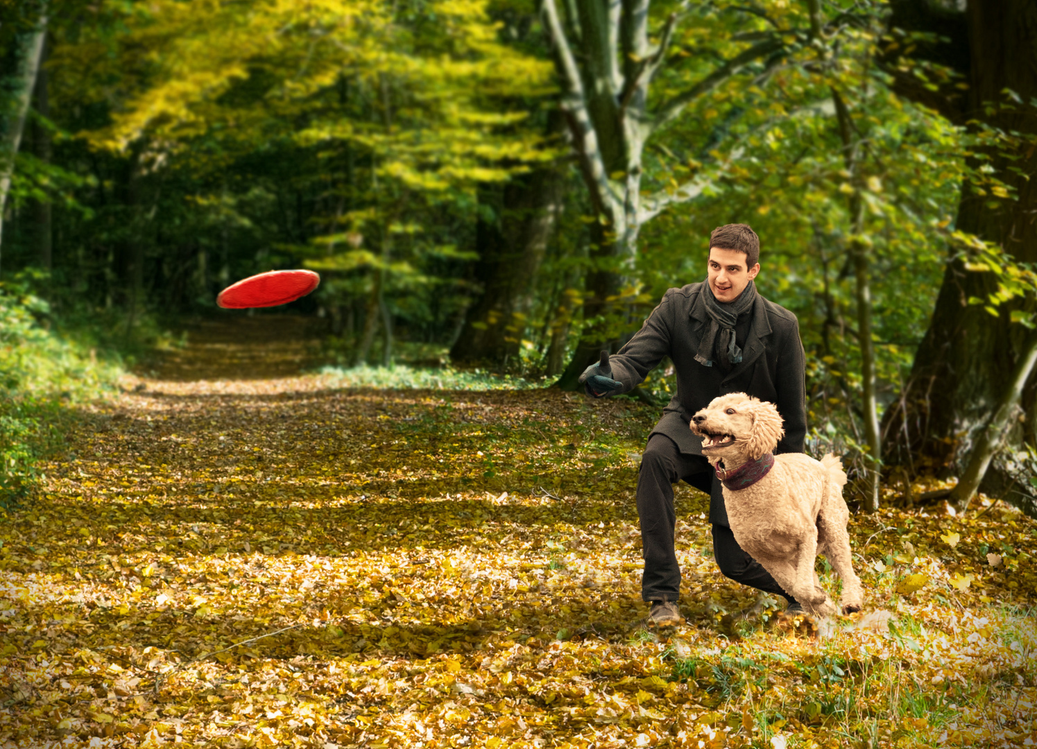 Frisbee im Herbst