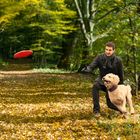 Frisbee im Herbst