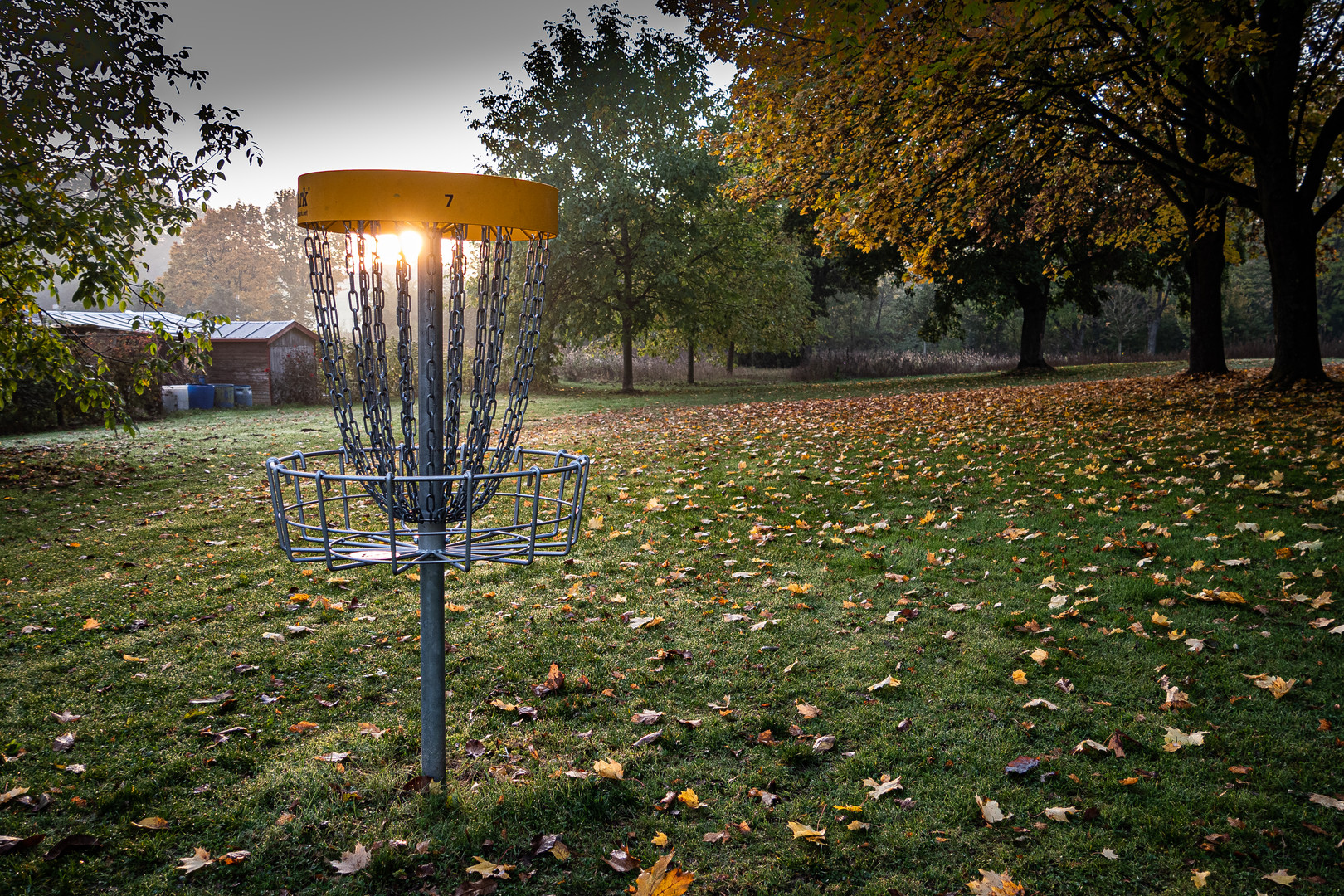 Frisbee im Kurpark