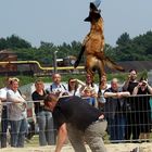 Frisbee in Perfektion