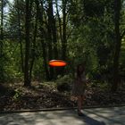 Frisbee - Light