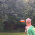 Frisbee - The O - 3