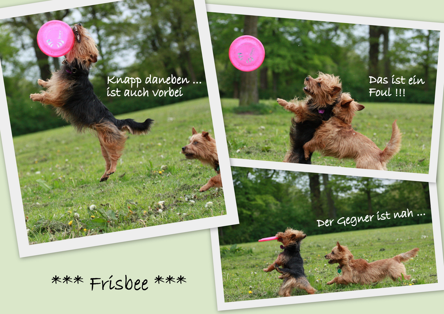 Frisbeeeeeeee