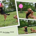 Frisbeeeeeeee