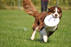 Frisbeeworkshop