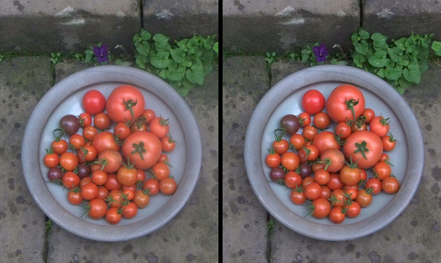 frisch aus dem Garten Foto & Bild | stereoskopische raumbilder, spezial