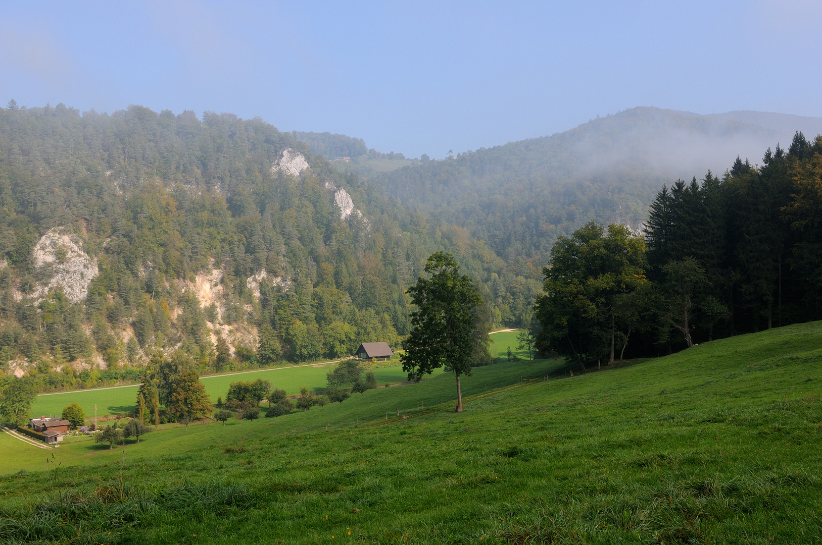 Frisch aus dem Morgennebel erwacht....