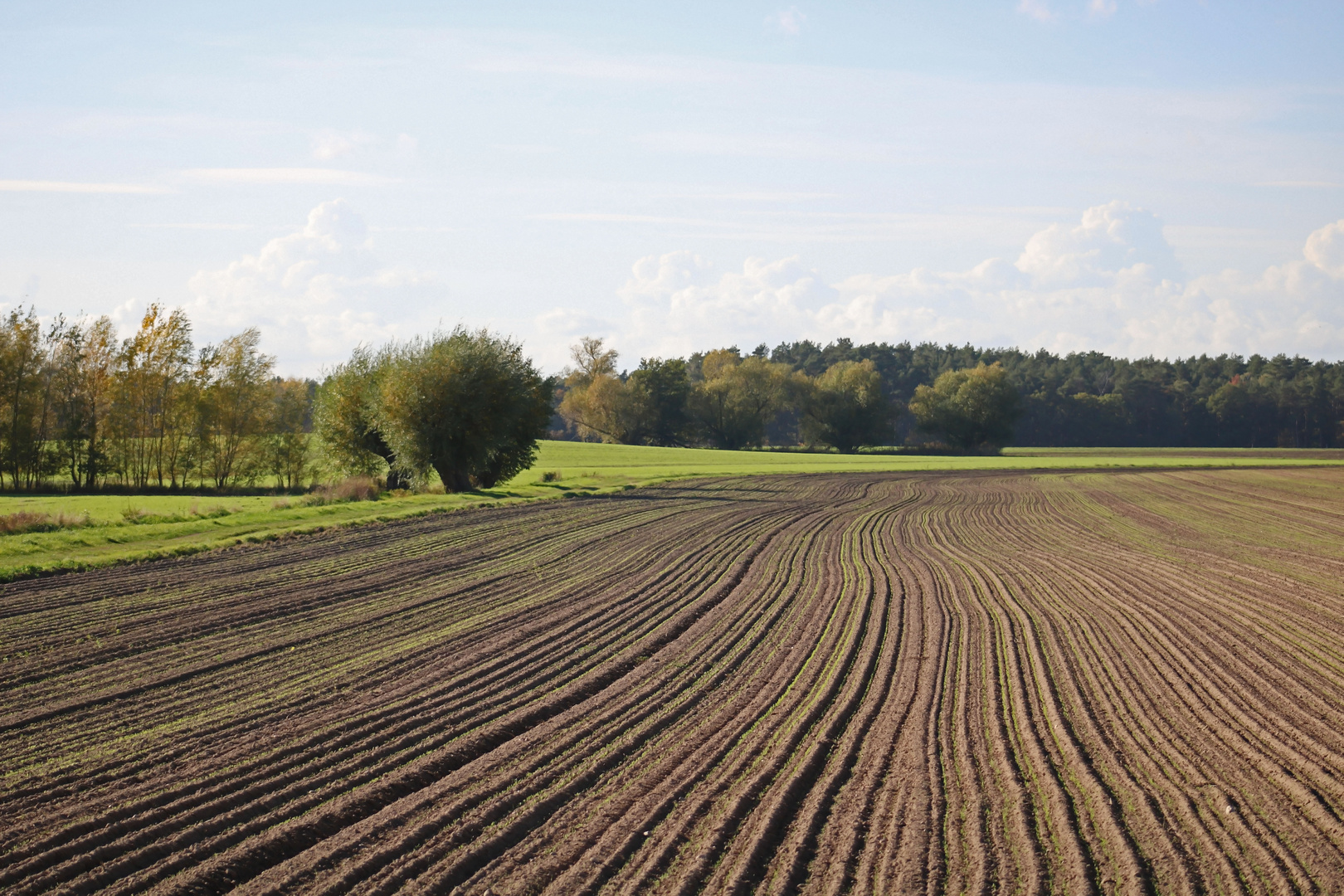 Frisch bearbeitetes Feld