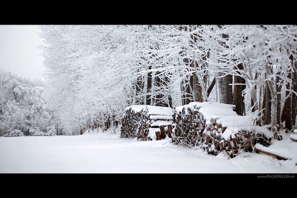 Frisch fallender Schnee (2)