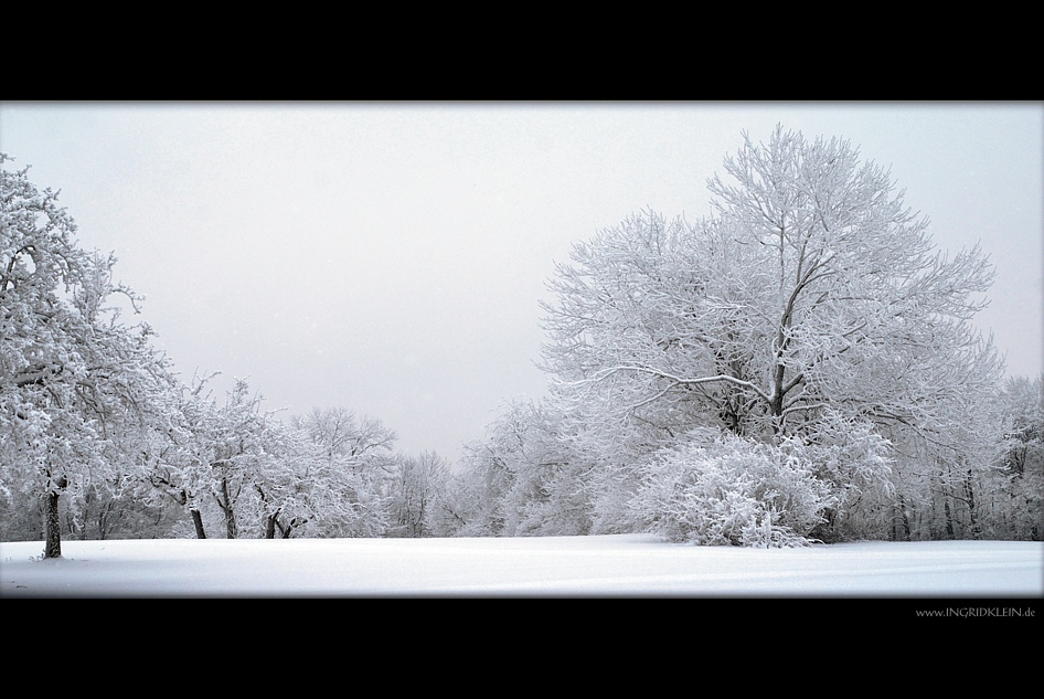 Frisch fallender Schnee