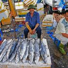 frisch Fisch in Hanoi am Markt