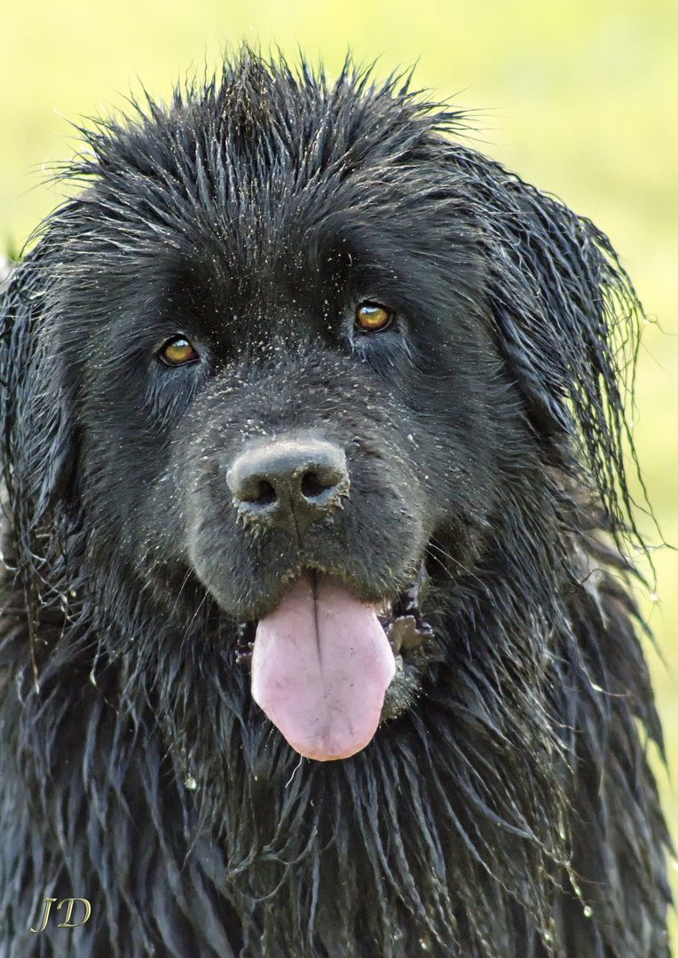 Frisch gebadet