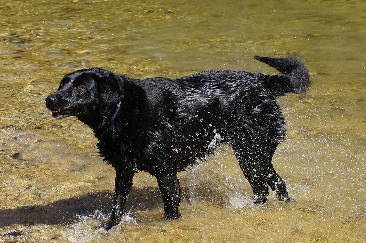 frisch gebadet