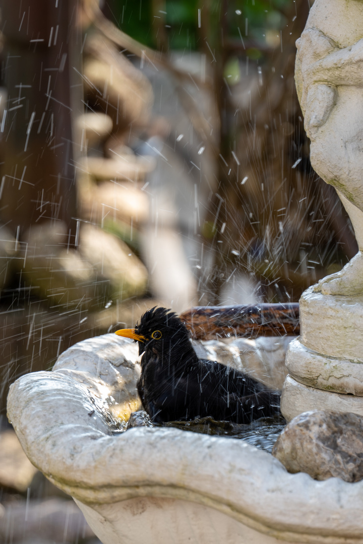 Frisch gebadet