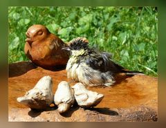 Frisch gebadet ins Wochenende