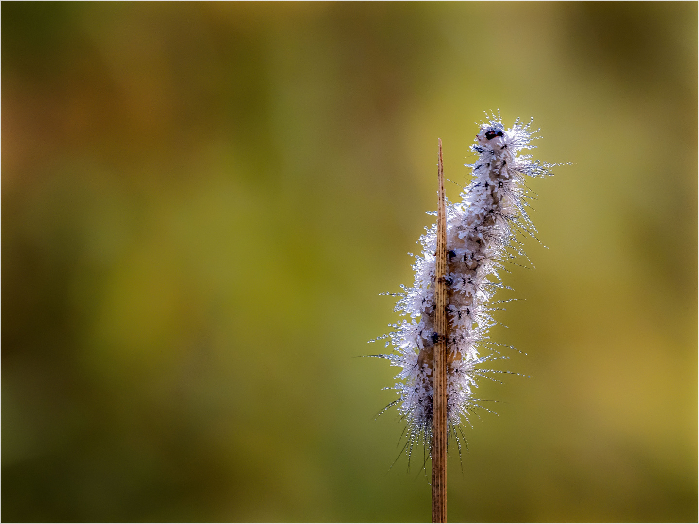 Frisch geduscht