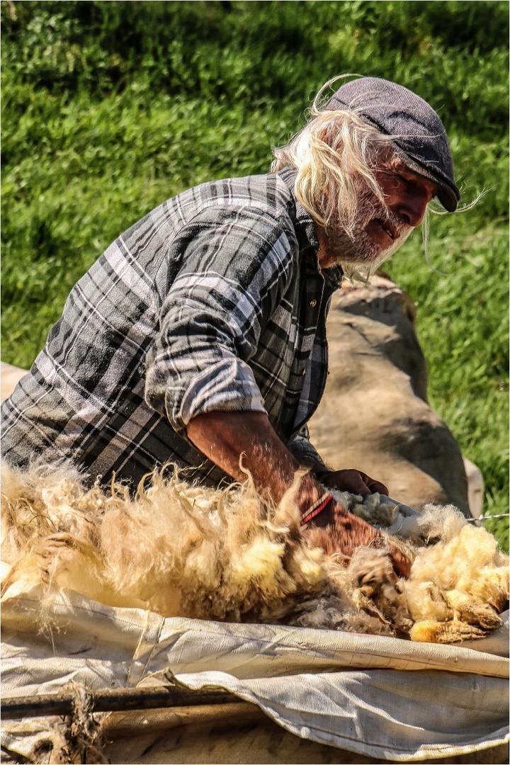 Frisch "geerntet"