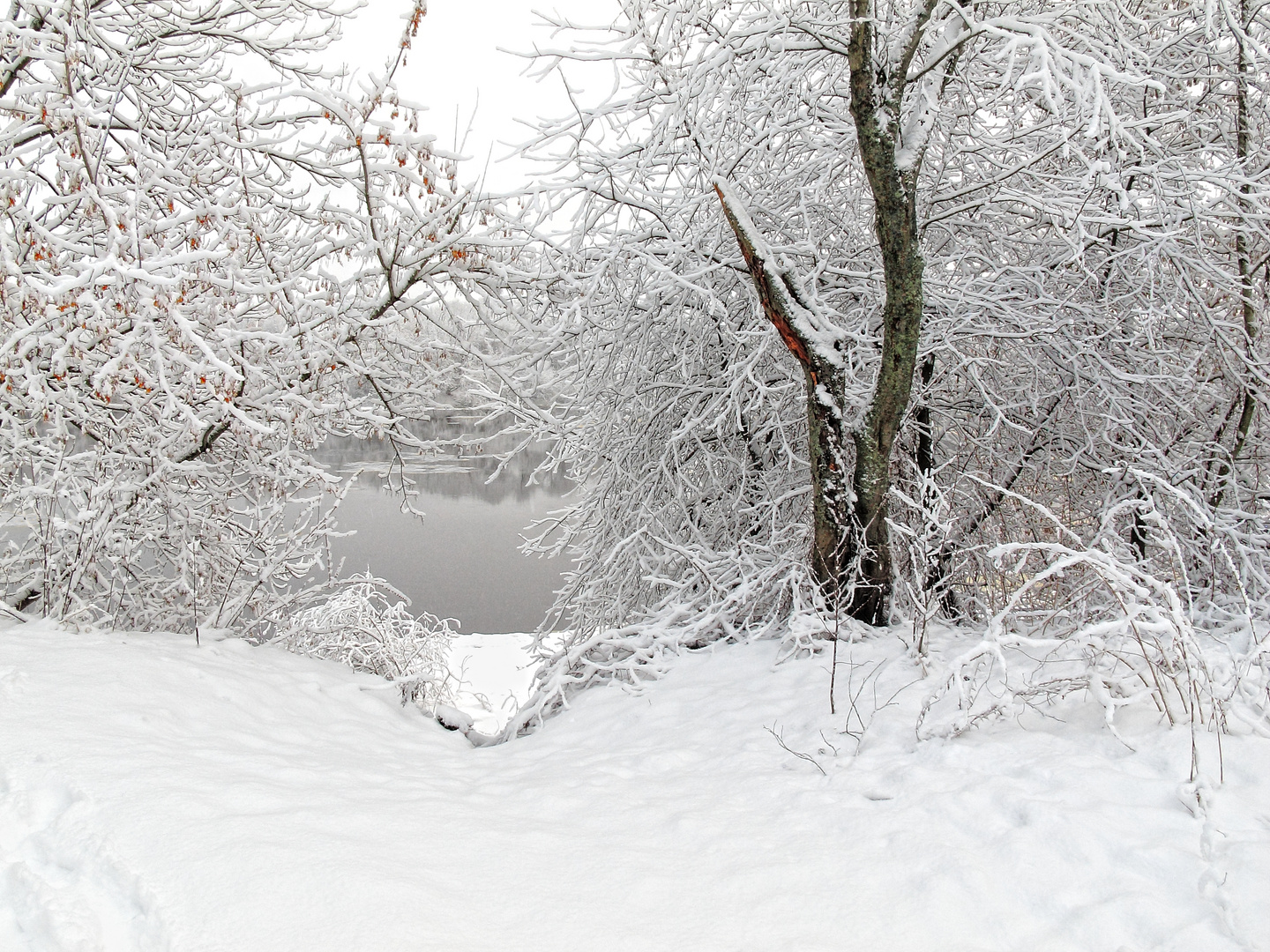 Frisch gefallener Schnee