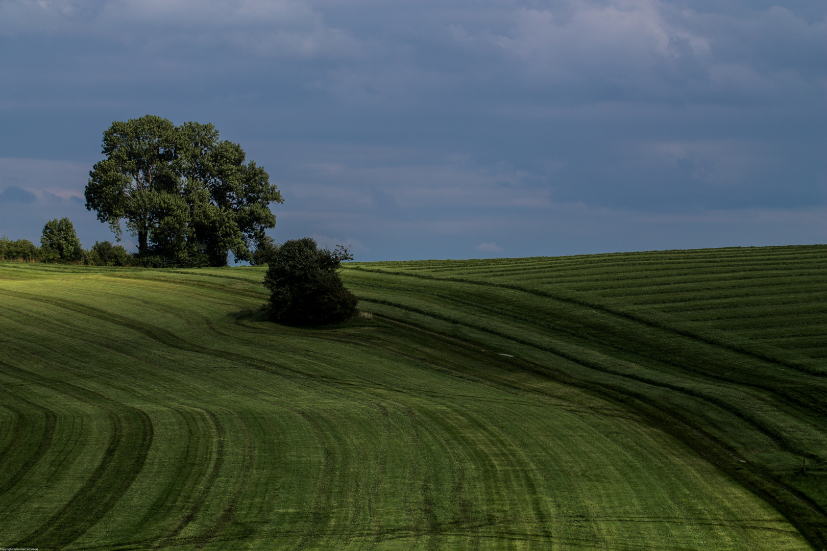 Frisch gemäht im Allgäu