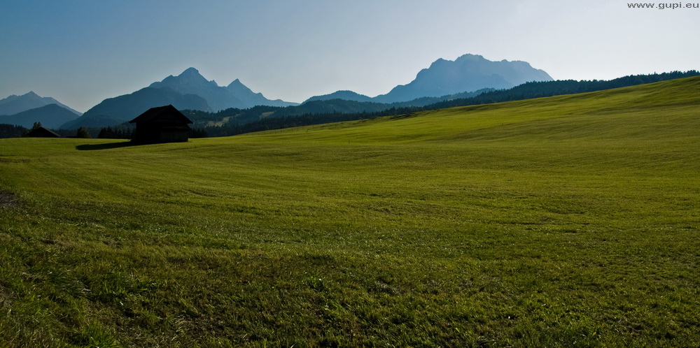 Frisch gemähte Alpenwiese