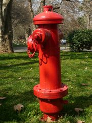 Frisch gestrichener Hydrant