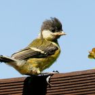 Frisch gestylt zum ersten Ausflug