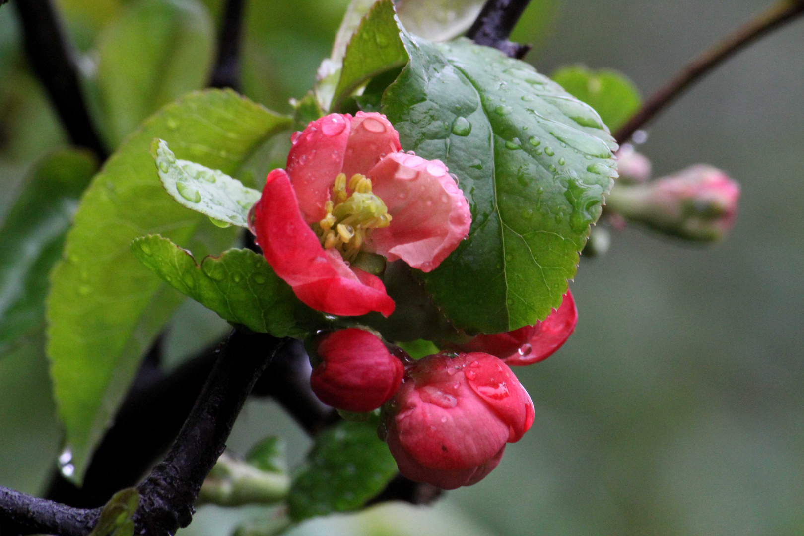 "frisch gewaschen"