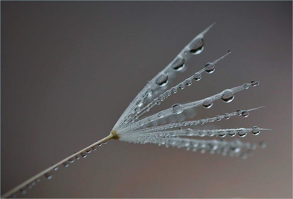 Frisch gewaschen