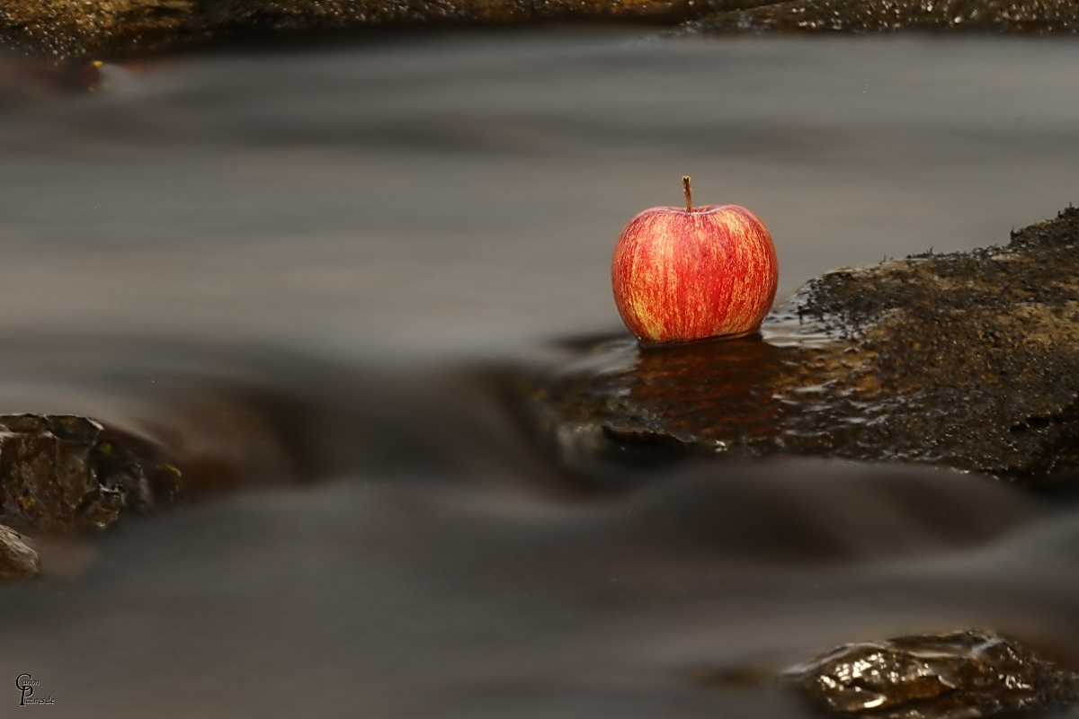 frisch gewaschen schmeckt er am besten