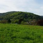 Frisch grün gestrichen... (360°)