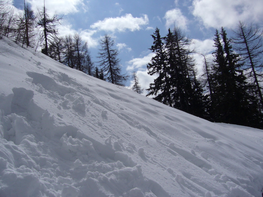 Frisch in den Schnee