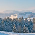 Frisch verschneite Tannen im Napfgebiet