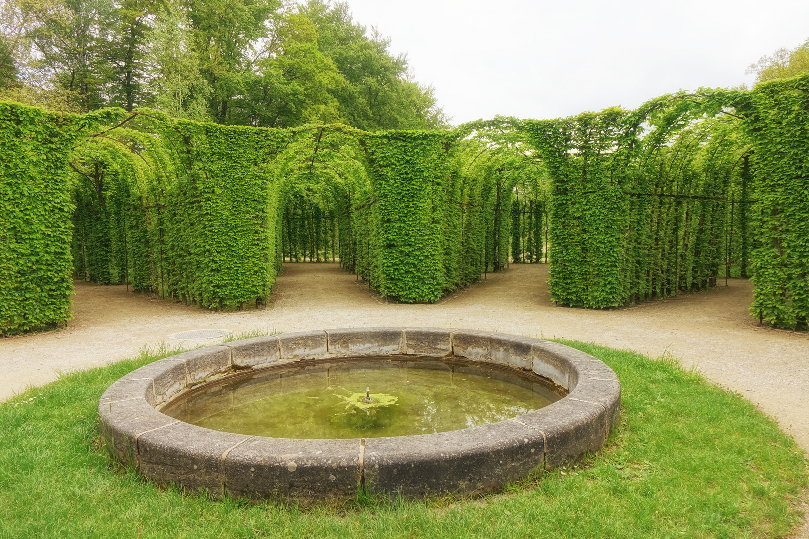 frischbelaubter Durchblick im Rondell