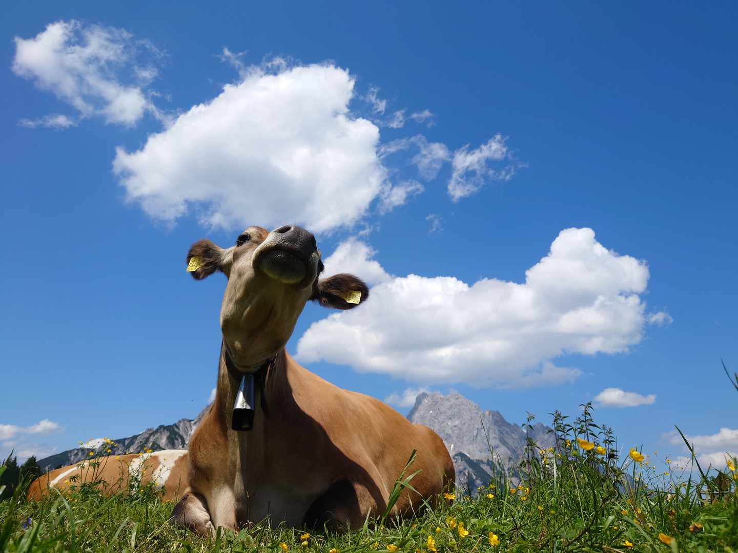 Frische Bergluft schnappen