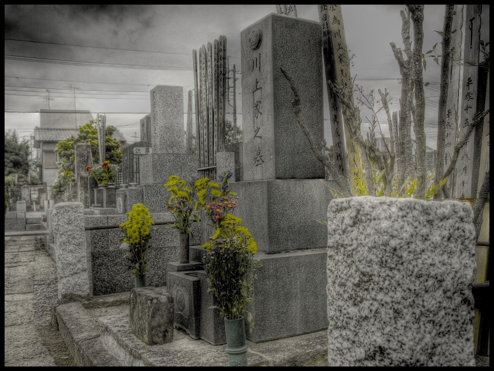 Frische Blumen auf dem grauen Friedhof