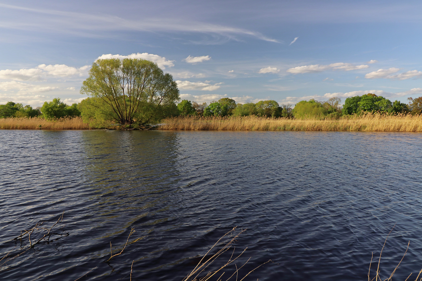 Frische Brise